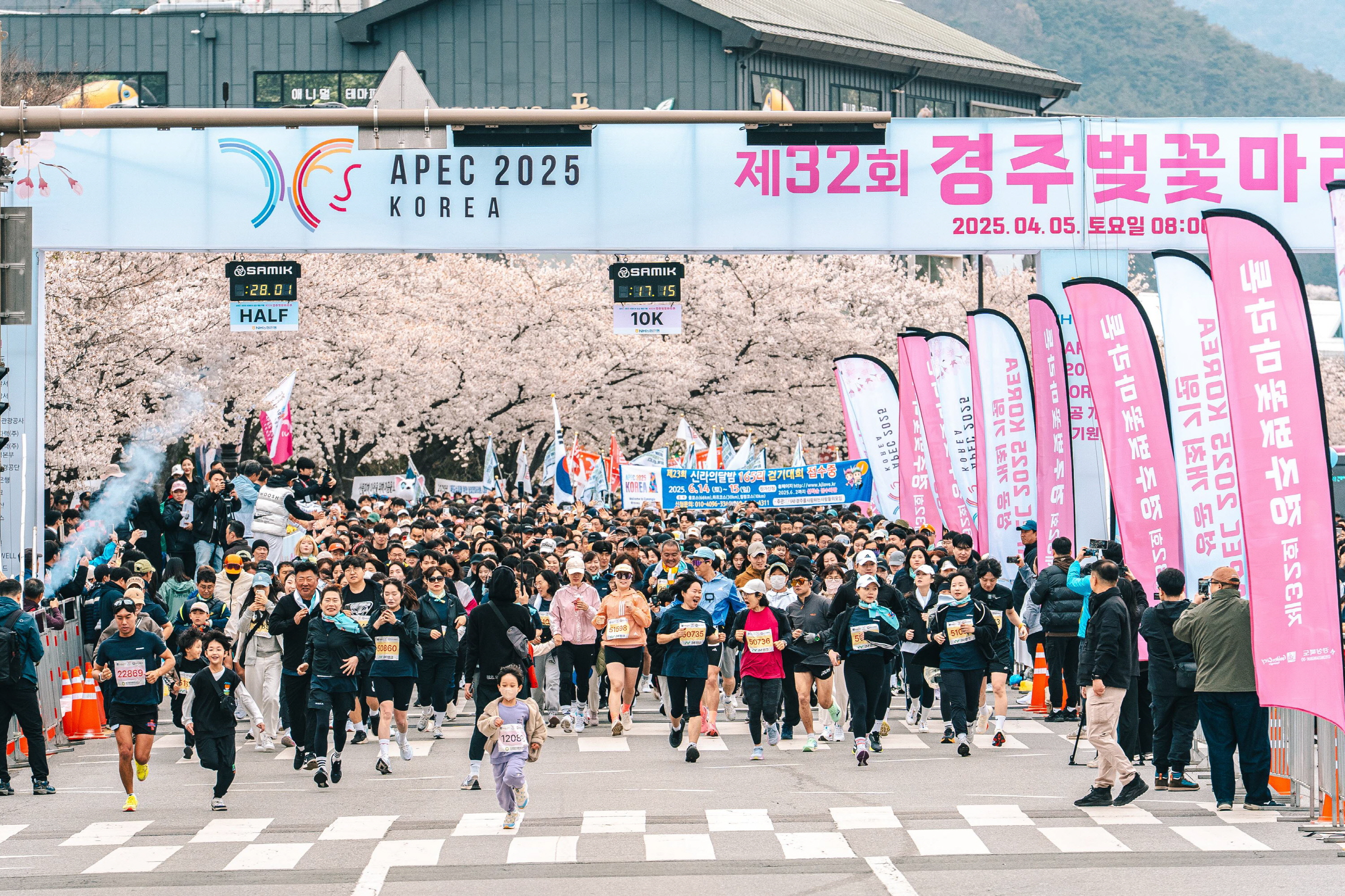 올해 4월 열린 제32회 경주벚꽃마라톤대회에서 참가자들이 만개한 벚꽃 아래서 힘차게 출발하고 있다.