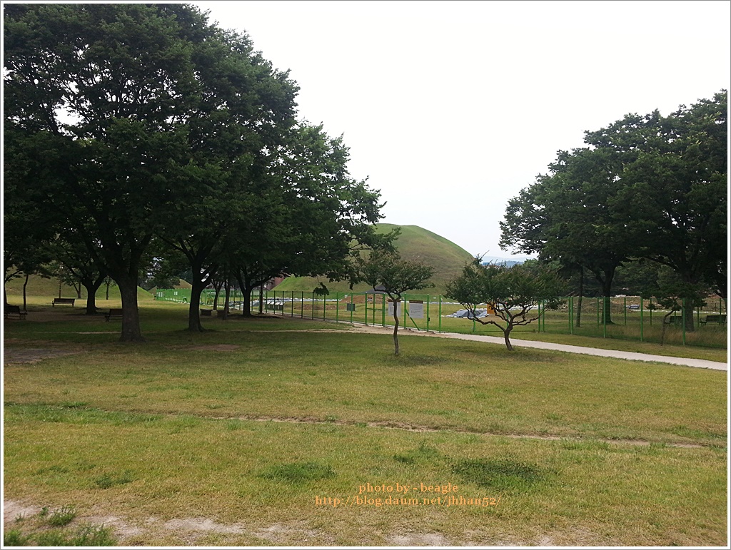 20160627_140336.jpg