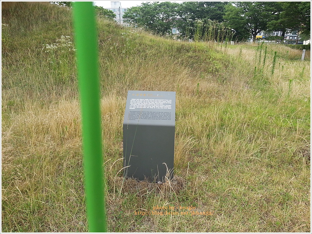 20160627_140218.jpg