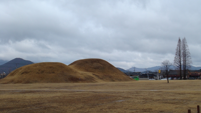 DSC08930.JPG