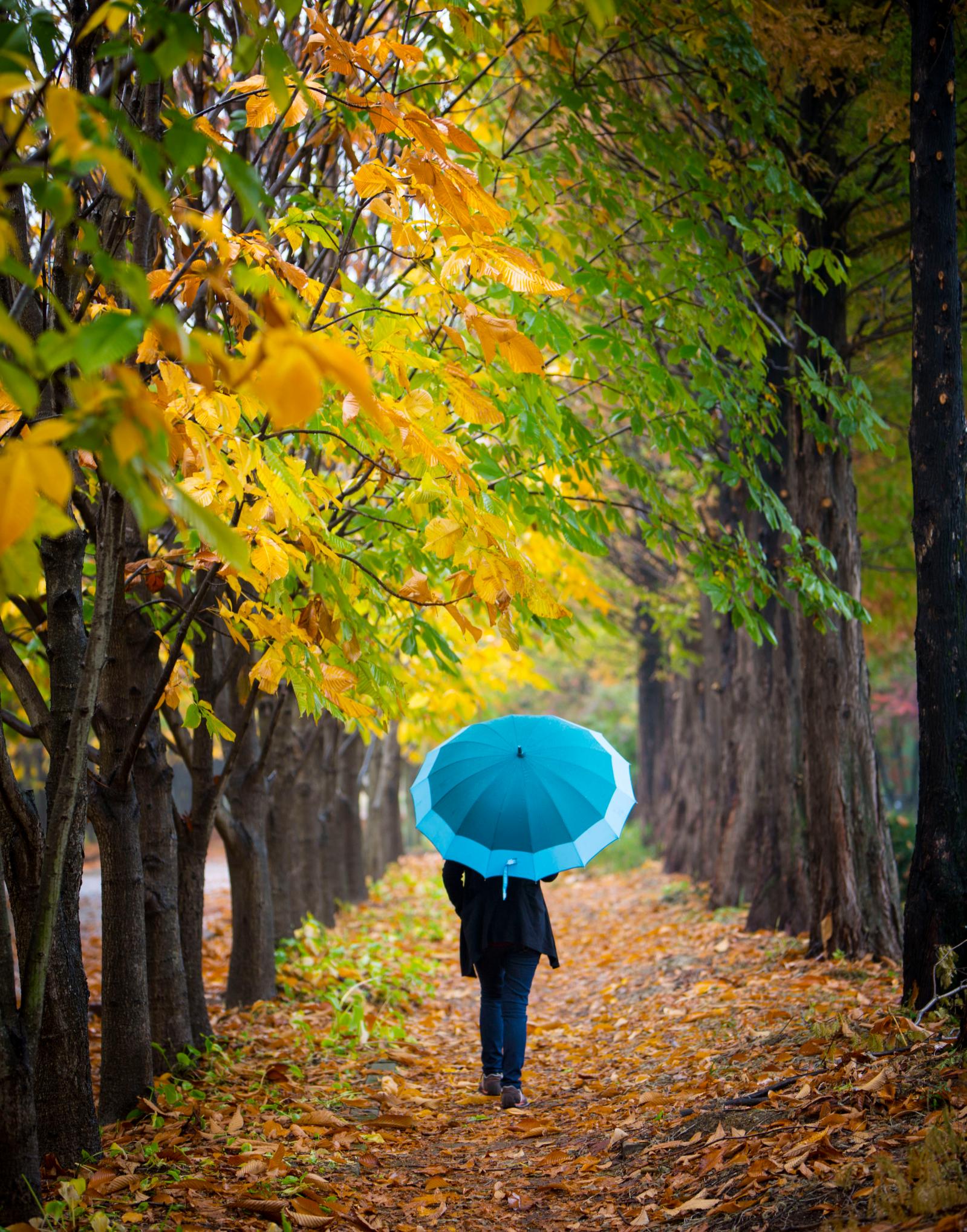 비오는날의 산책