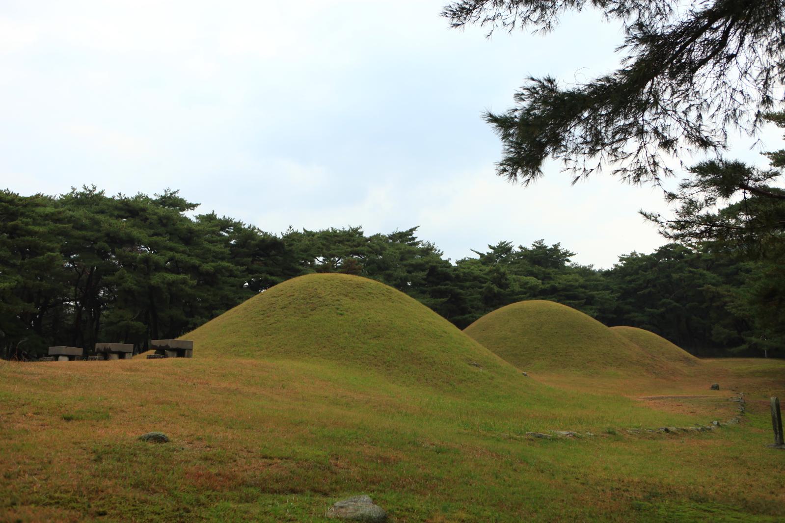 배동삼릉2