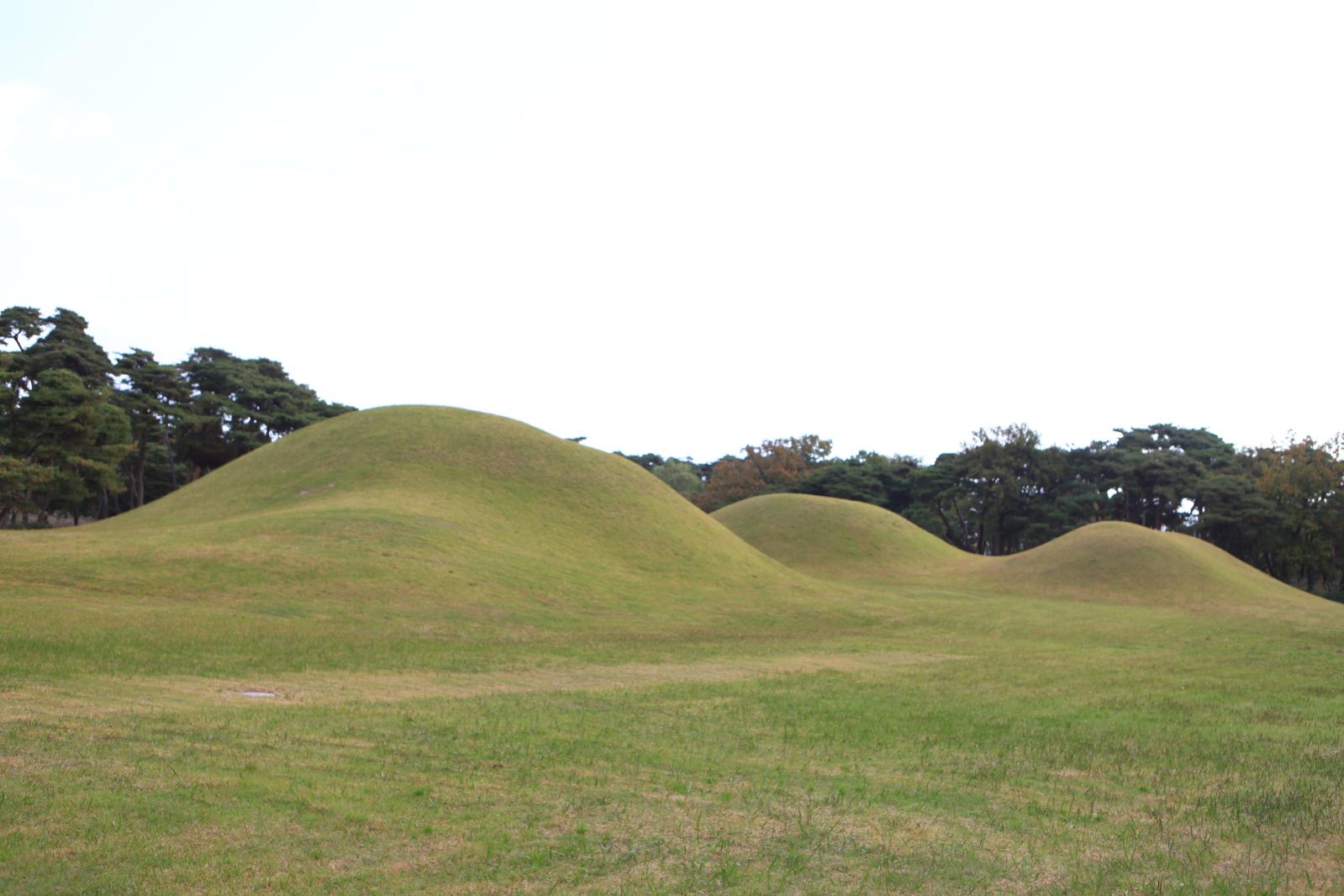 경주오릉