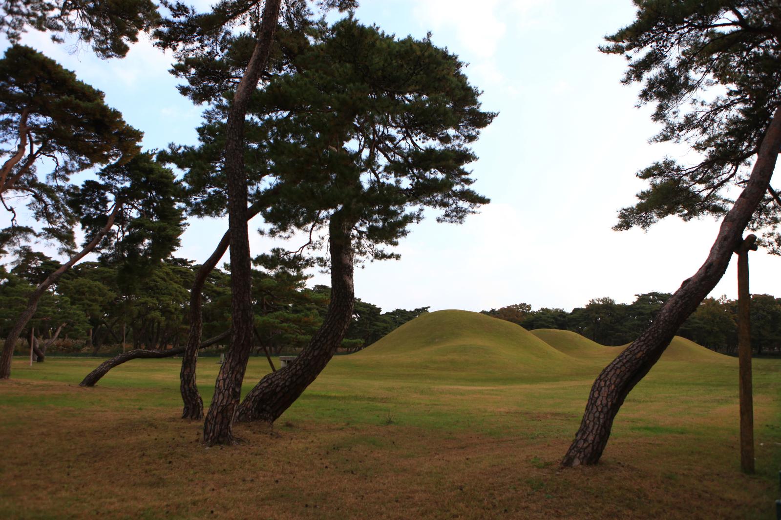경주오릉4
