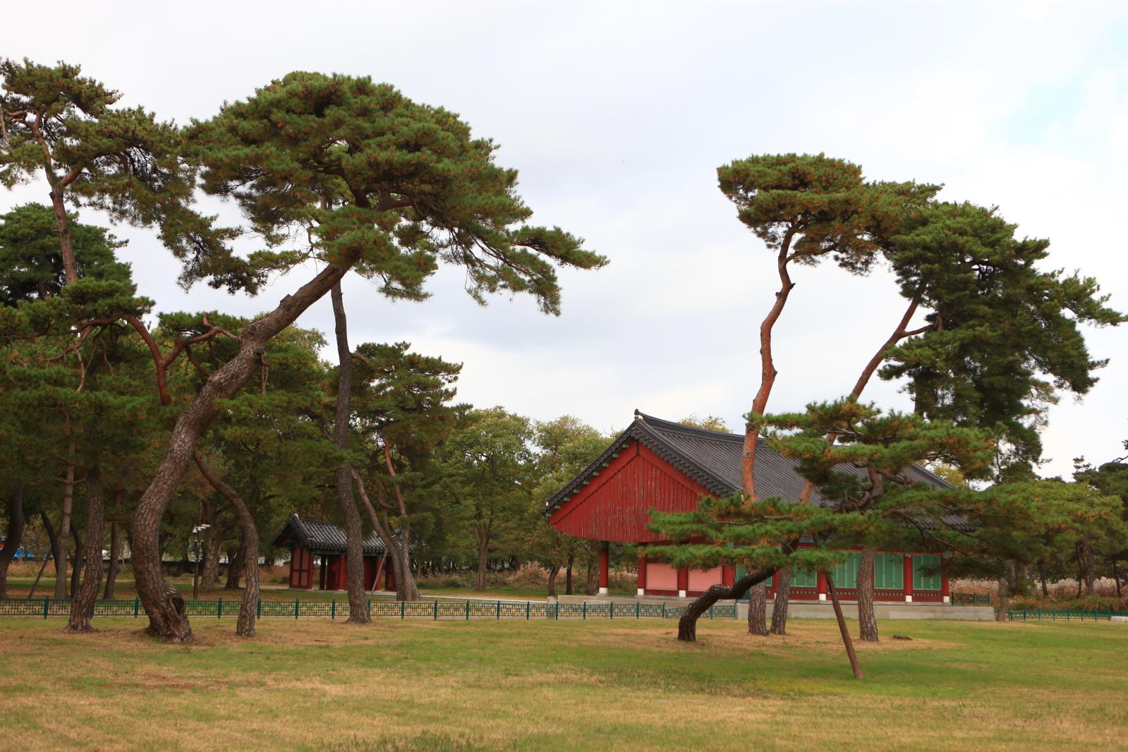 경주오릉5