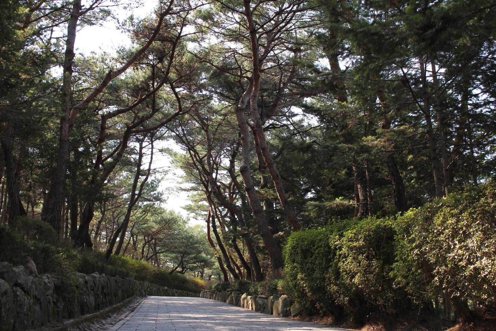 김유신묘11