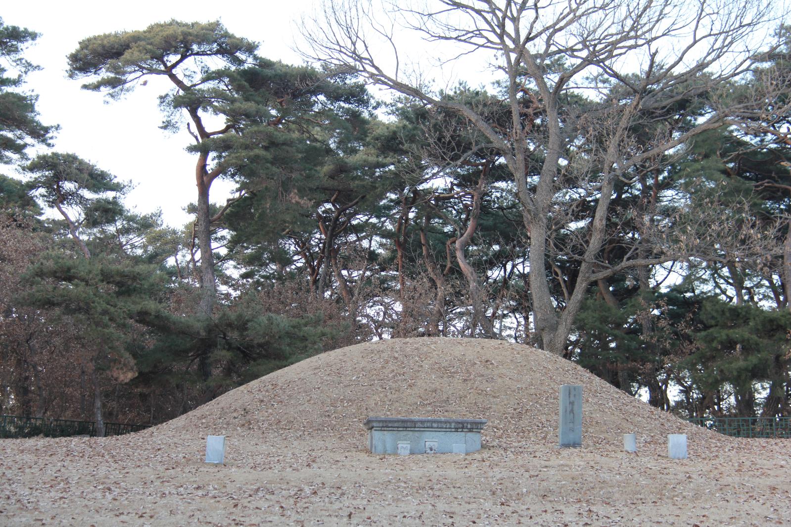 신무왕릉4