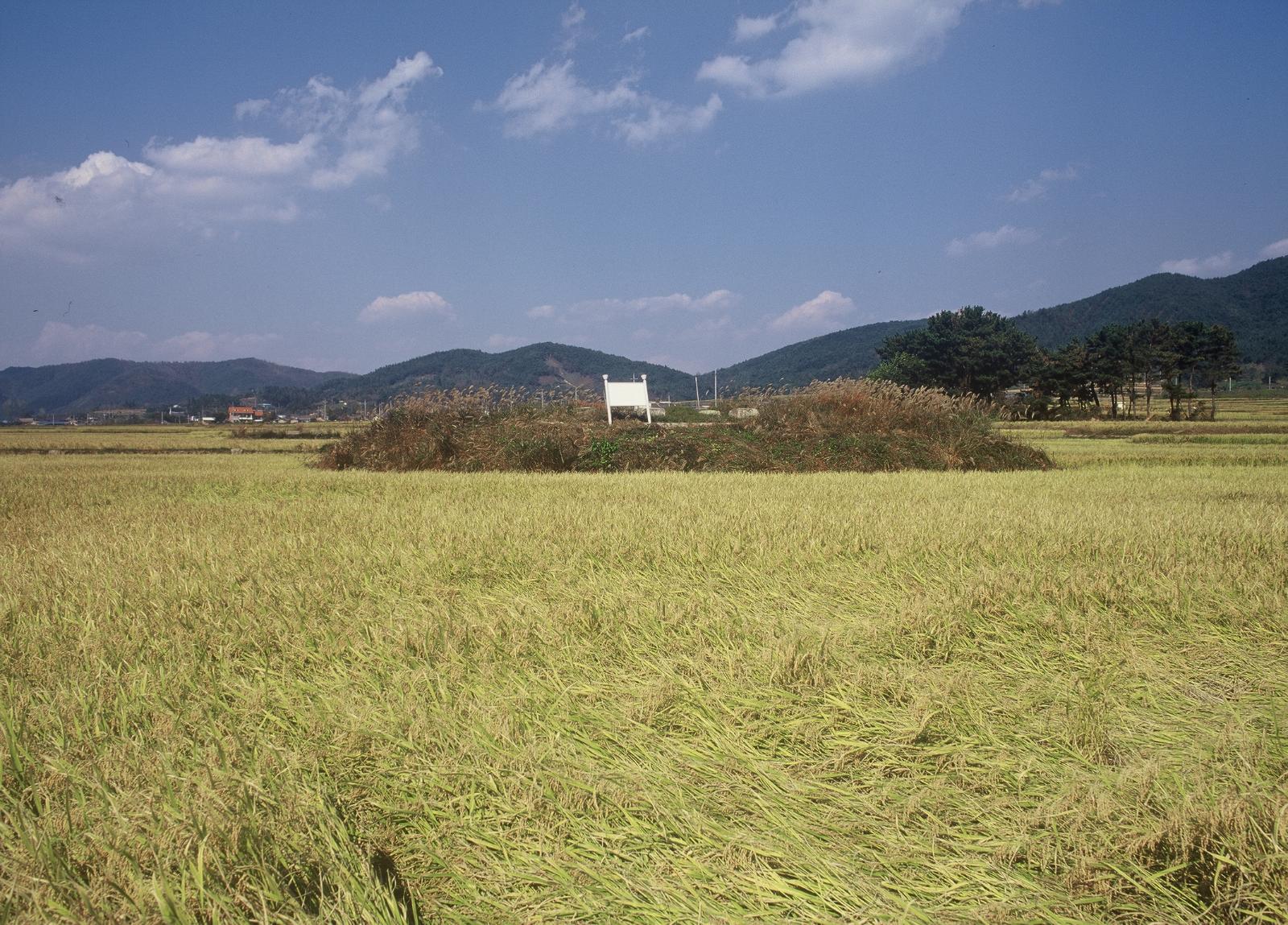 보문리사지4