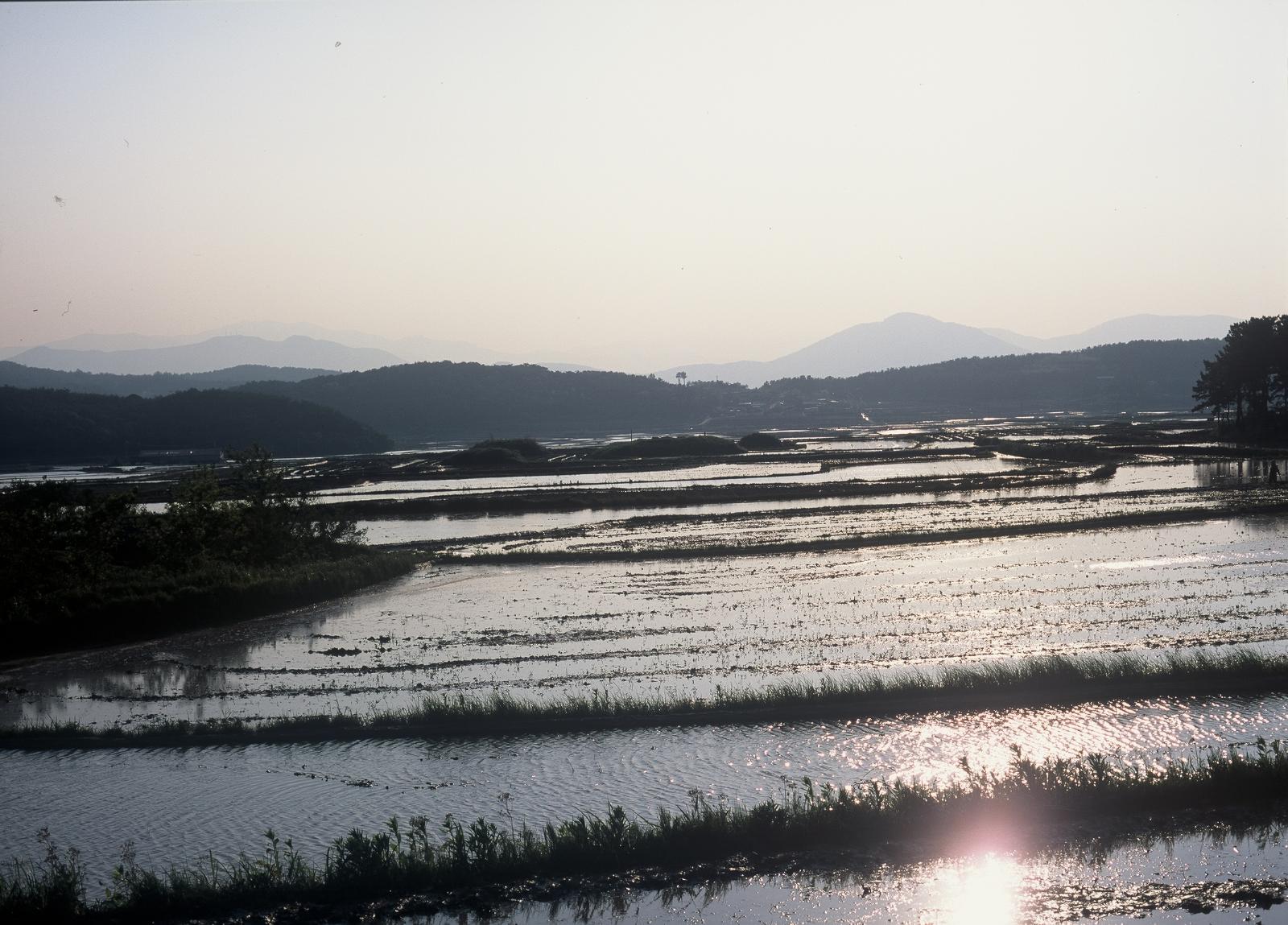 보문리사지5