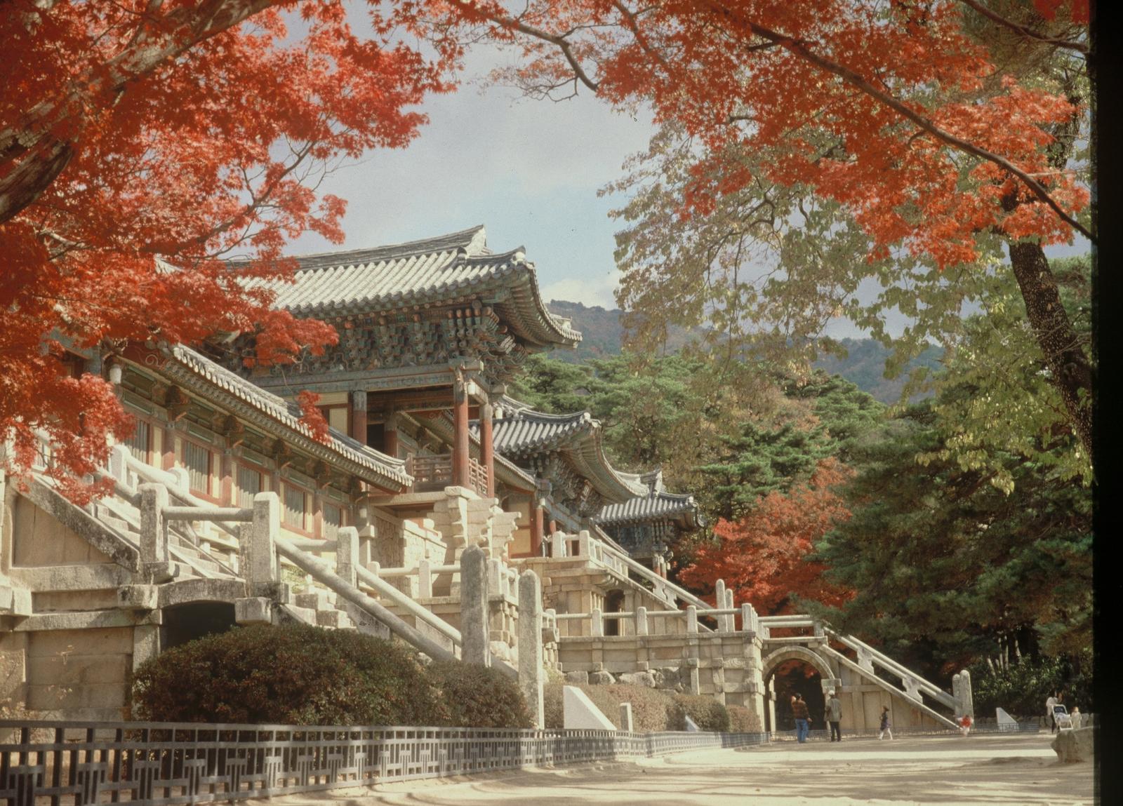 불국사경내