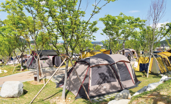 화랑마을 오토캠핑장