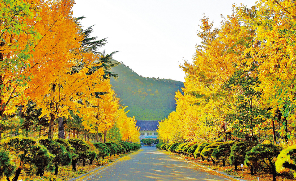 경상북도 산림환경연구원