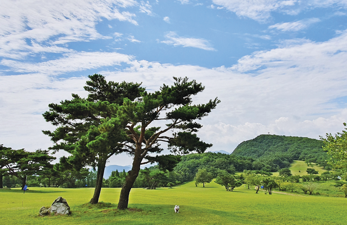 화랑의 언덕