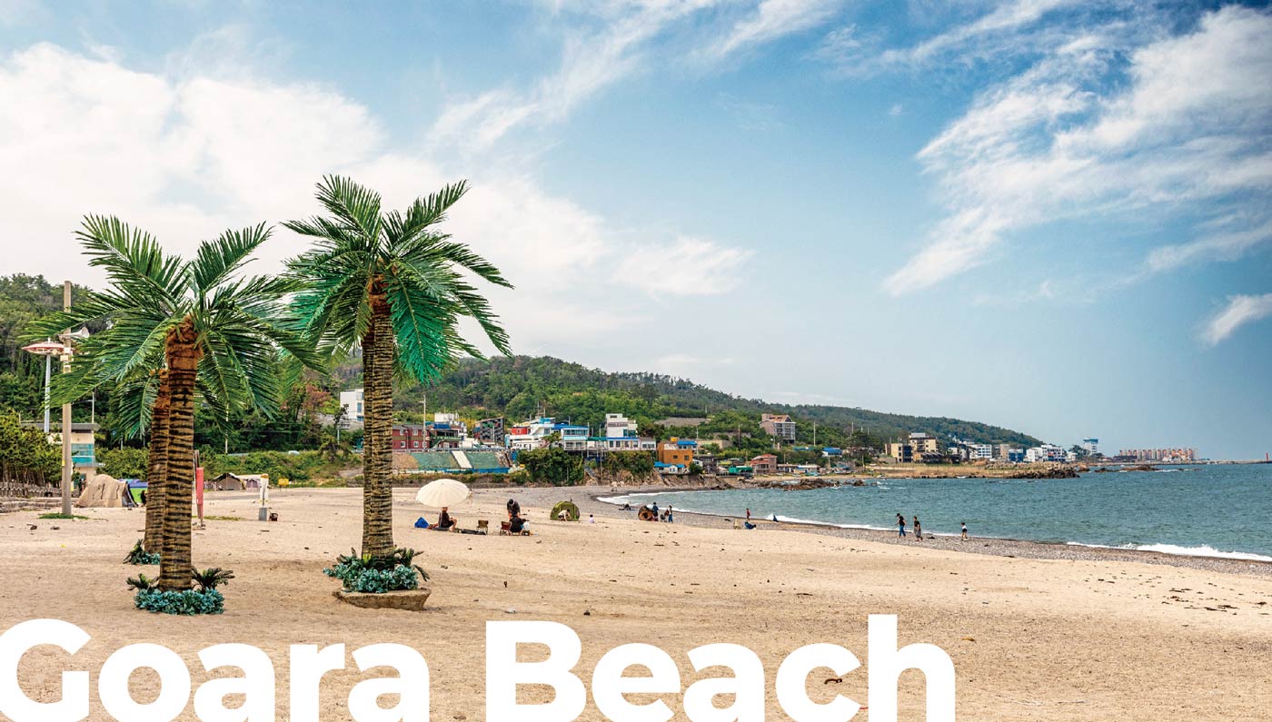 오류고아라해변 오류고아라해변